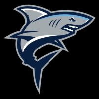 sharkoporn's avatar