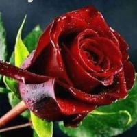 Onur67's avatar