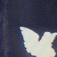johnepetit's avatar