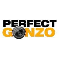 perfectgonzocom's avatar