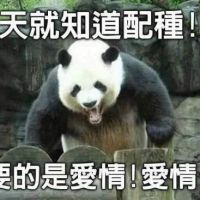 llkkk321's avatar