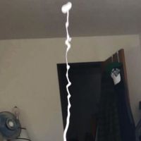 lil_mus's avatar